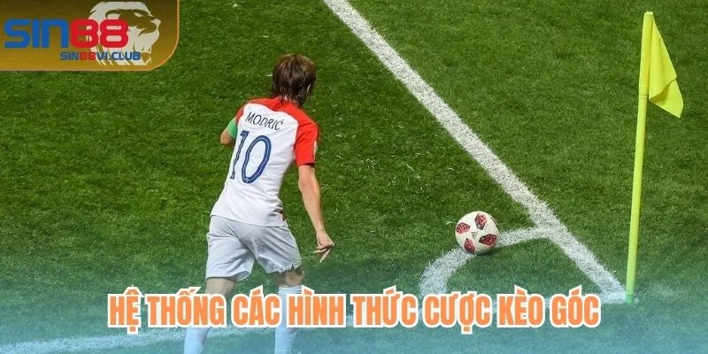 Hệ thống các hình thức cược kèo góc