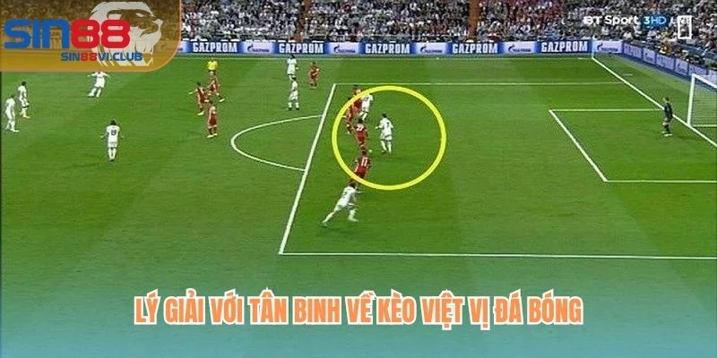 Lý giải với tân binh về kèo việt vị đá bóng